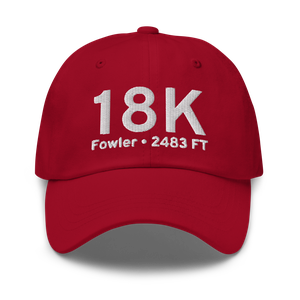 Fowler (18K) Airport Hat