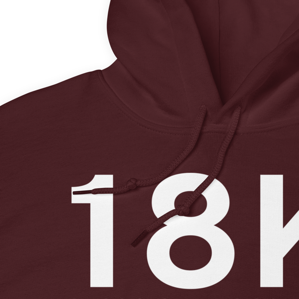 Fowler (18K) Airport Hoodie Sweatshirt 