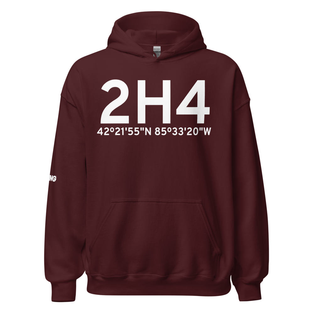 Parchment (2H4) Airport Hoodie Sweatshirt 
