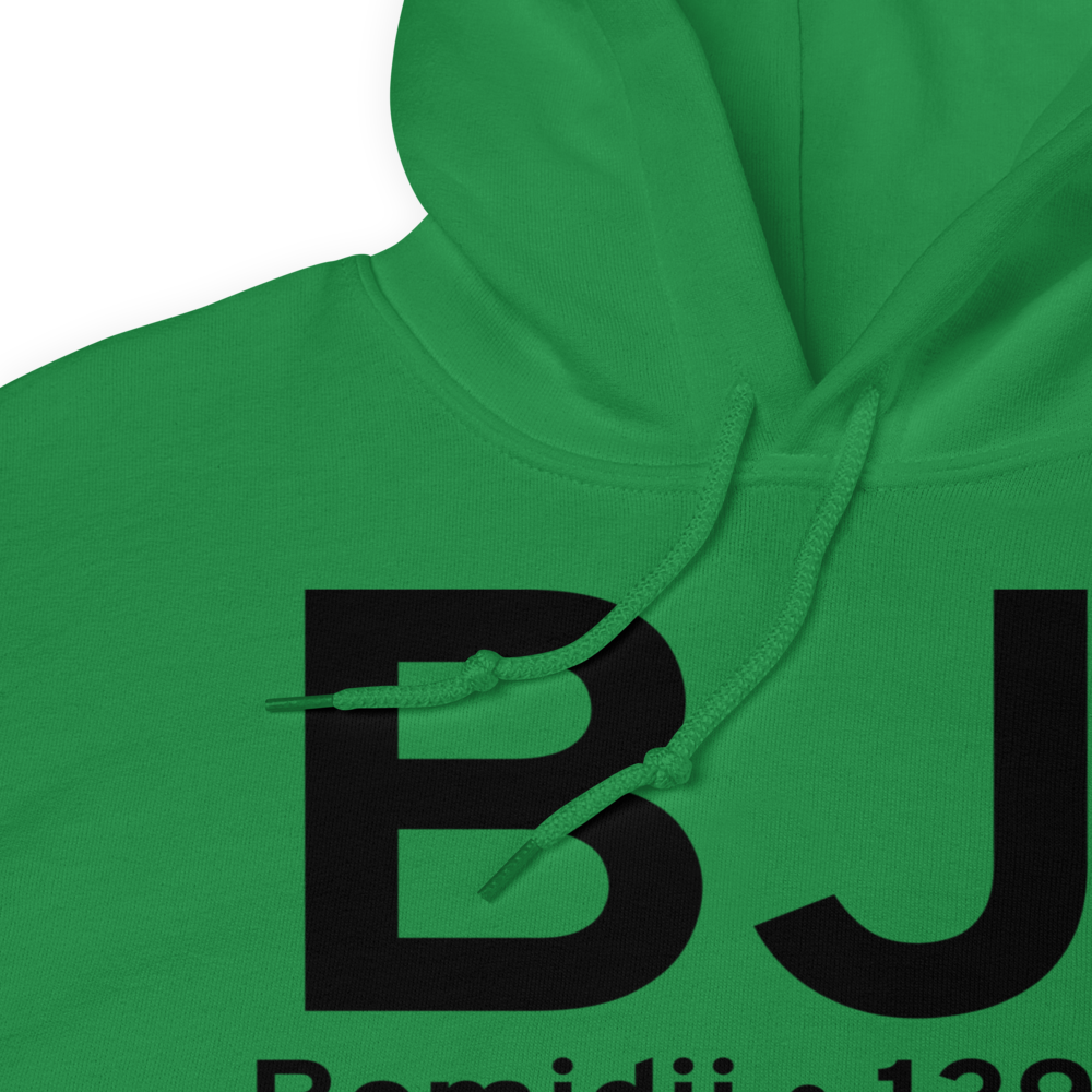 Bemidji (KBJI) Airport Hoodie Sweatshirt 