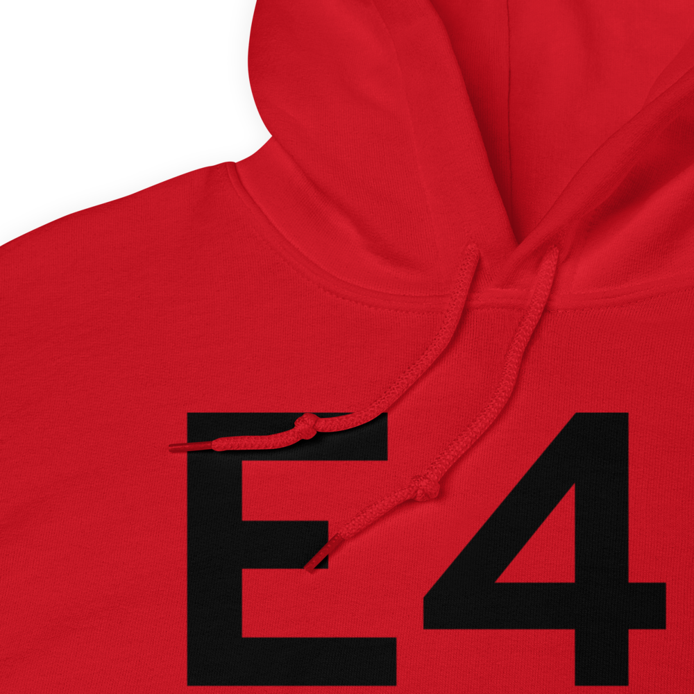 Big Lake (KE41) Airport Hoodie Sweatshirt 