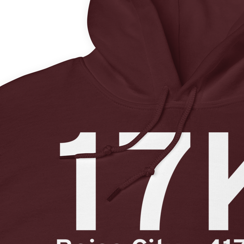 Boise City (K17K) Airport Hoodie Sweatshirt 