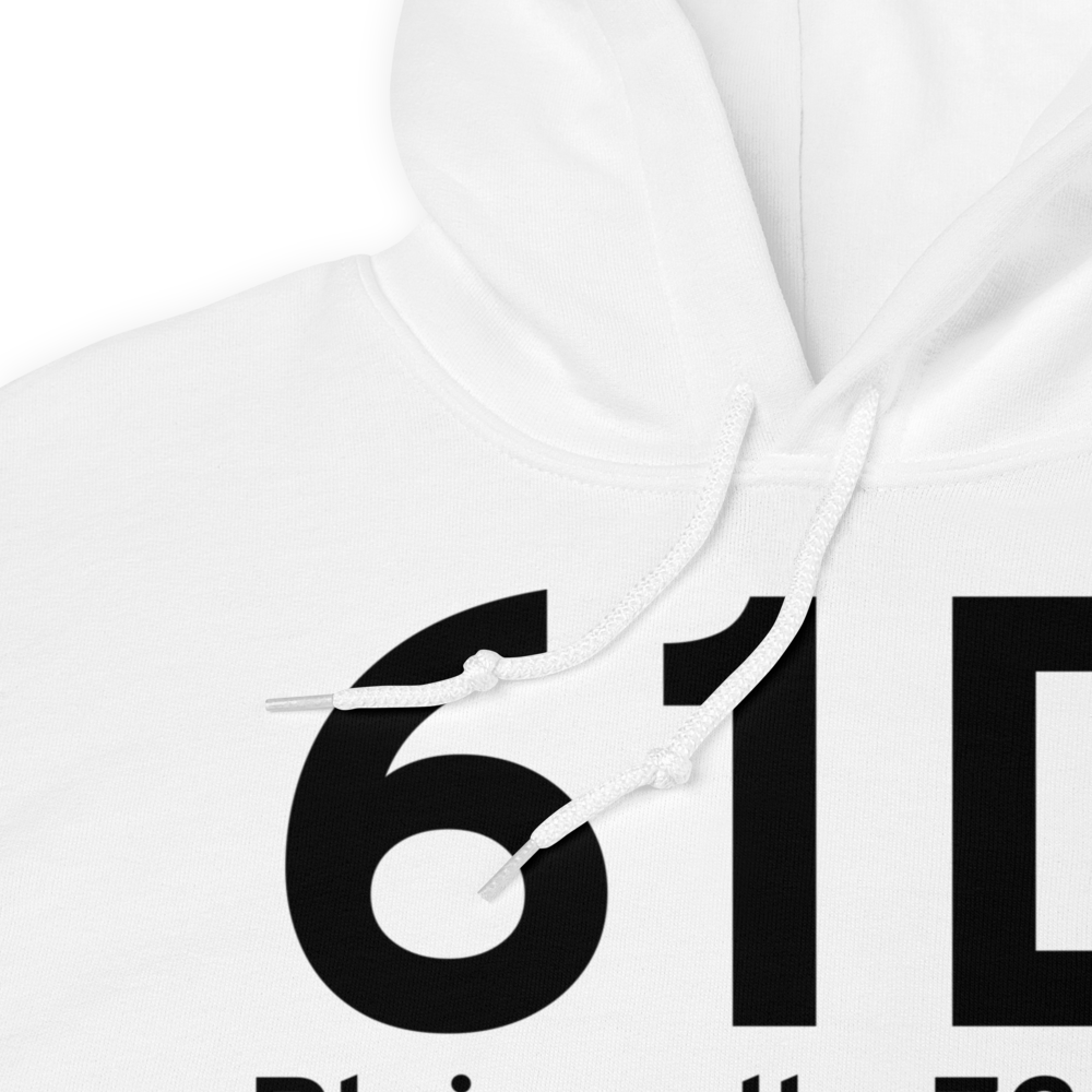 Plainwell (61D) Airport Hoodie Sweatshirt 