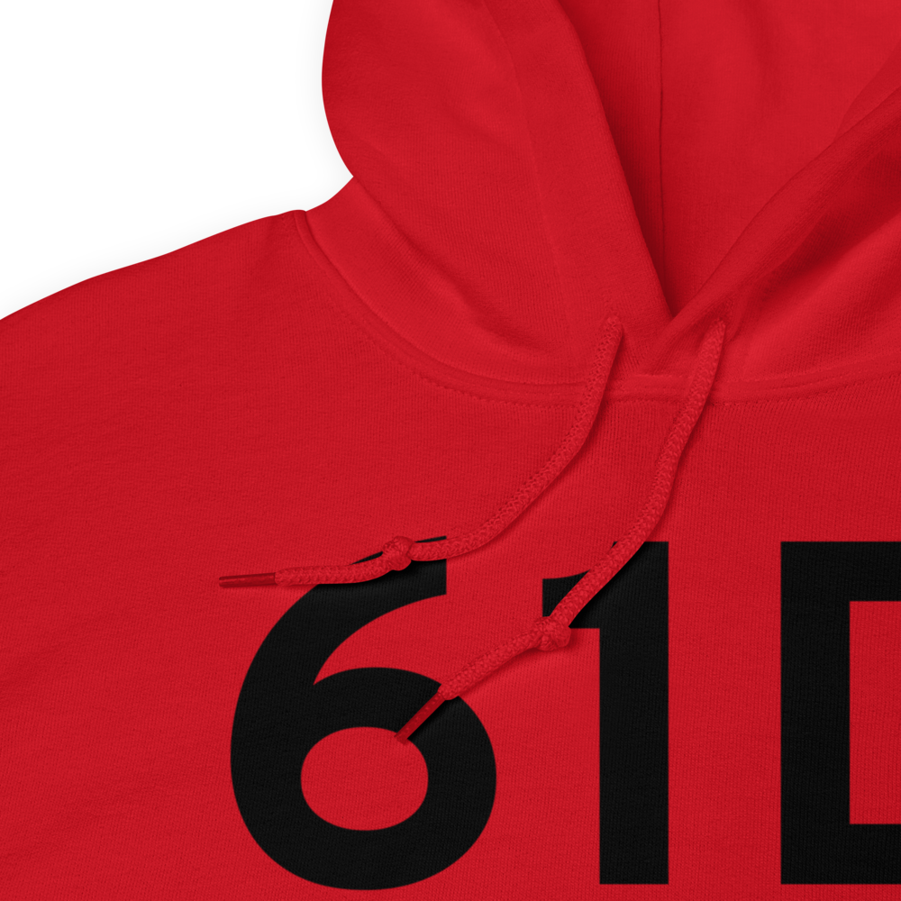 Plainwell (61D) Airport Hoodie Sweatshirt 