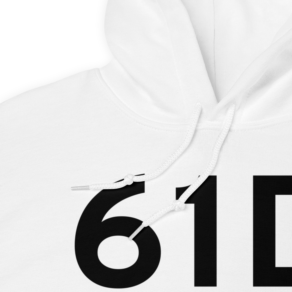 Plainwell (61D) Airport Hoodie Sweatshirt 