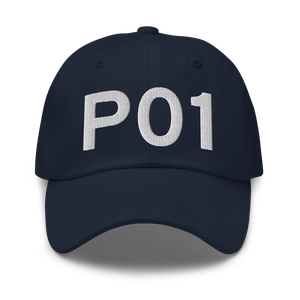 Ajo (KP01) Airport Hat