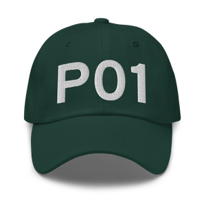 Ajo (KP01) Airport Hat