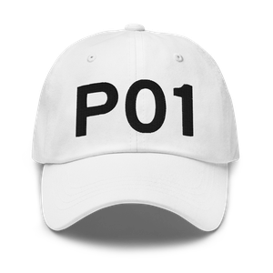 Ajo (KP01) Airport Hat