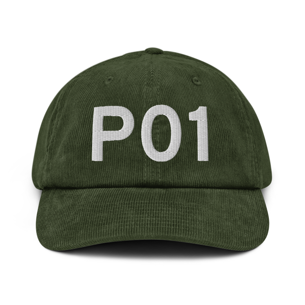 Ajo (KP01) Airport Hat 