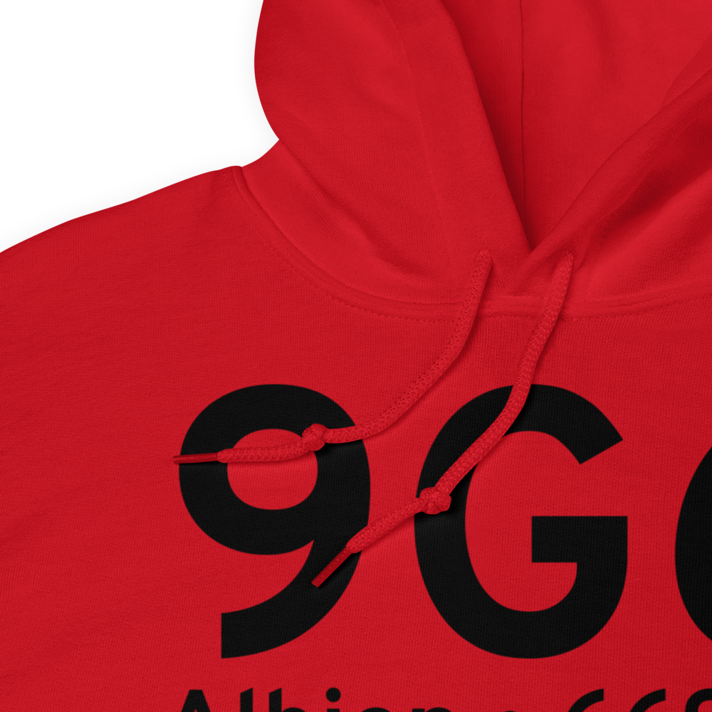Albion (9G6) Airport Hoodie Sweatshirt 