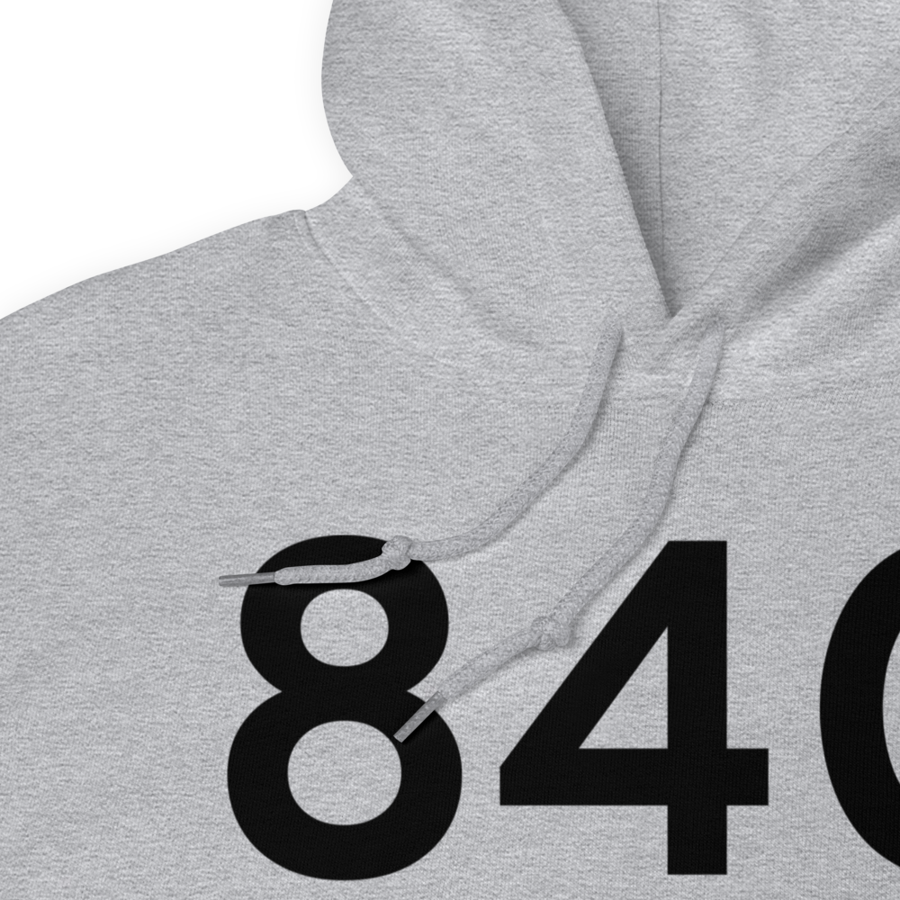Detroit (84G) Airport Hoodie Sweatshirt 