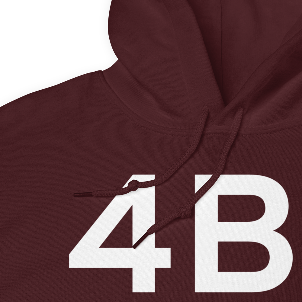Duanesburg (4B1) Airport Hoodie Sweatshirt 
