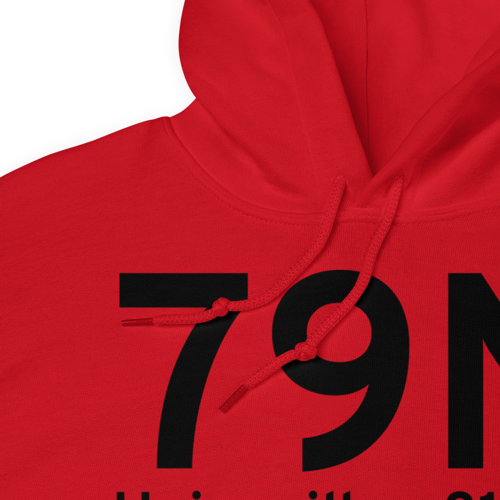 Unionville (79N) Airport Hoodie Sweatshirt 