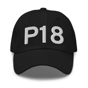 Phoenix (P18) Airport Hat