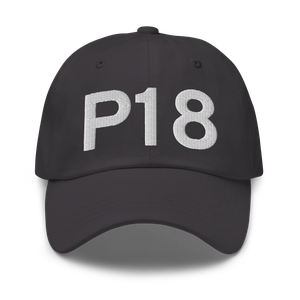 Phoenix (P18) Airport Hat