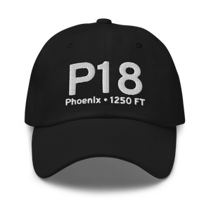 Phoenix (P18) Airport Hat