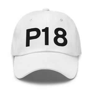 Phoenix (P18) Airport Hat