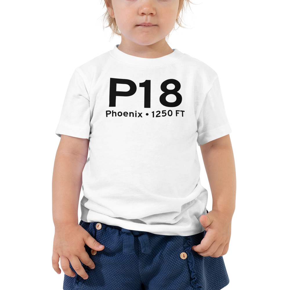 Phoenix (P18) Airport Toddler T-Shirt 