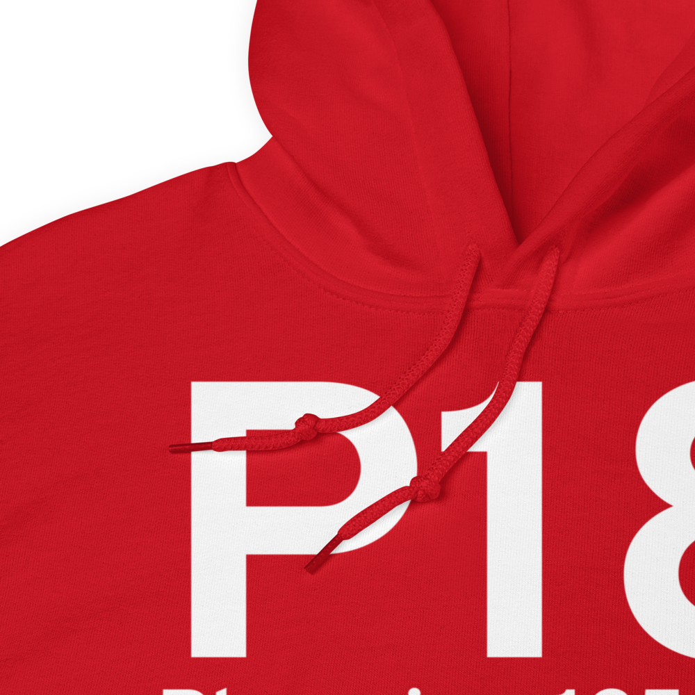 Phoenix (P18) Airport Hoodie Sweatshirt 