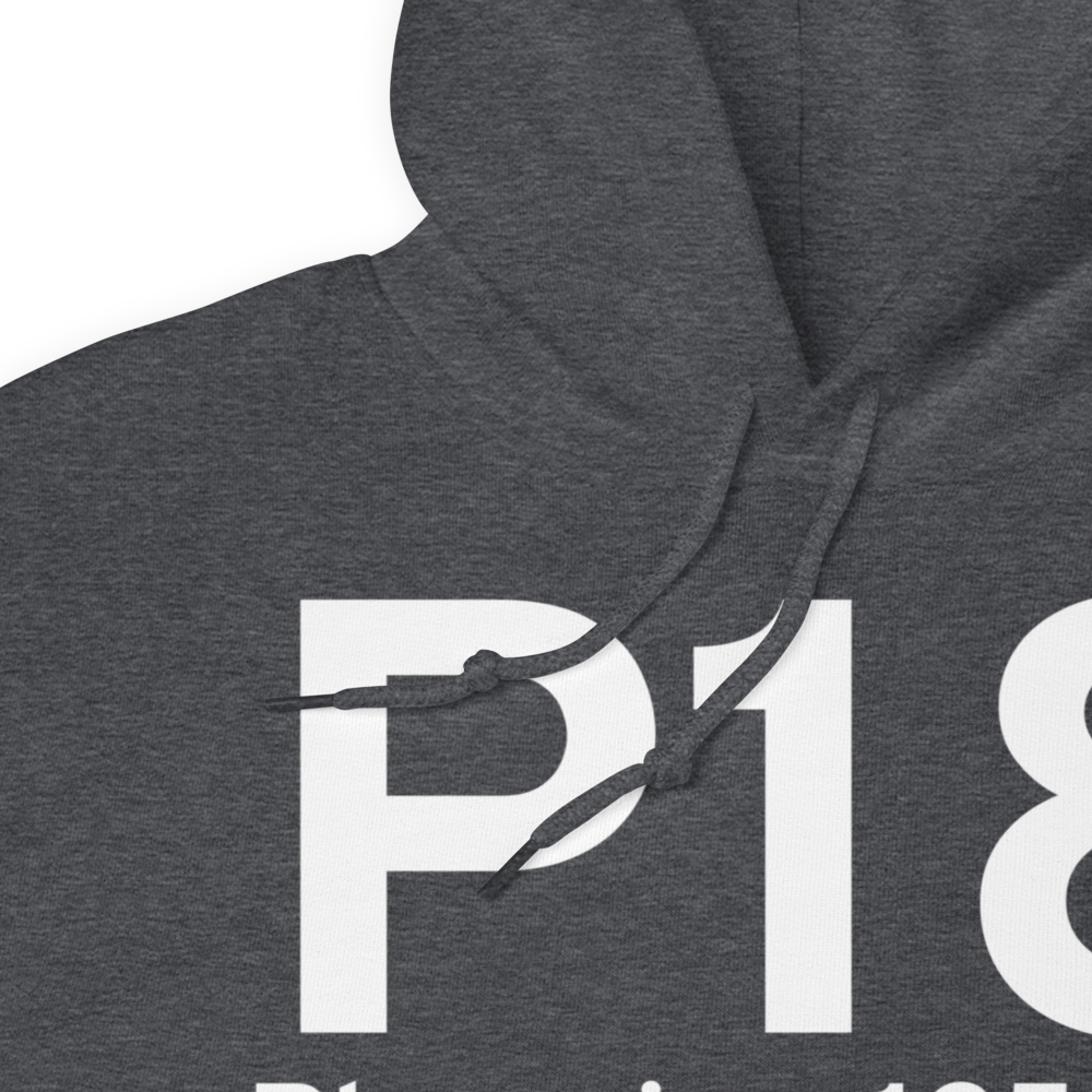 Phoenix (P18) Airport Hoodie Sweatshirt 