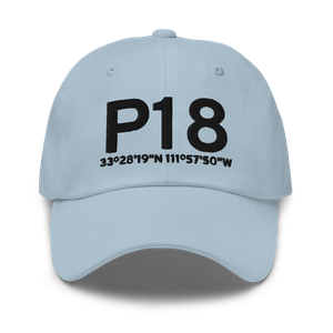 Phoenix (P18) Airport Hat