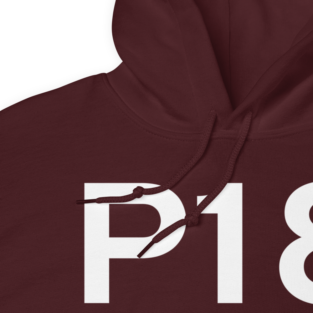 Phoenix (P18) Airport Hoodie Sweatshirt 