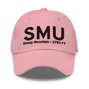 Sheep Mountain (PASP) Airport Hat