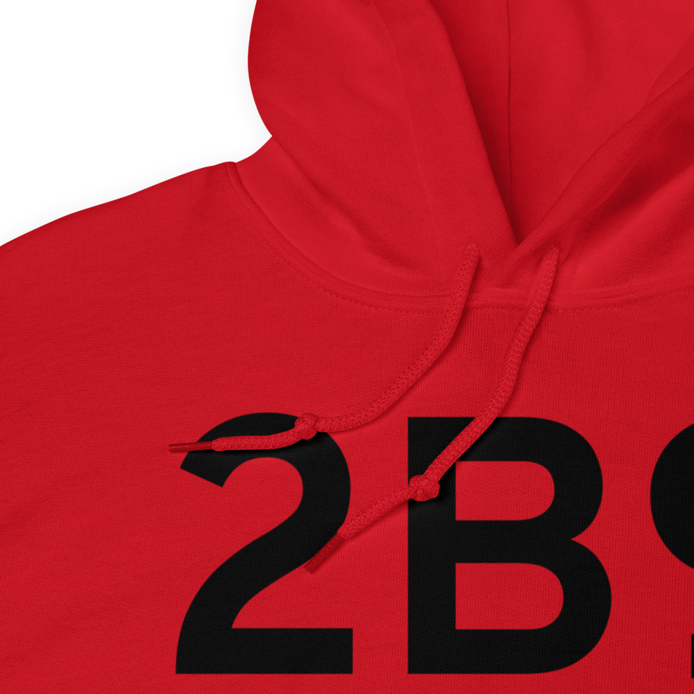 Post Mills (2B9) Airport Hoodie Sweatshirt 
