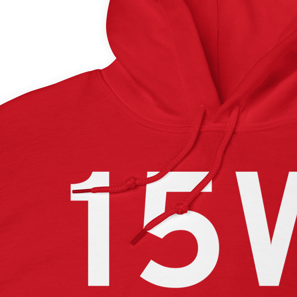 Laingsburg (15W) Airport Hoodie Sweatshirt 