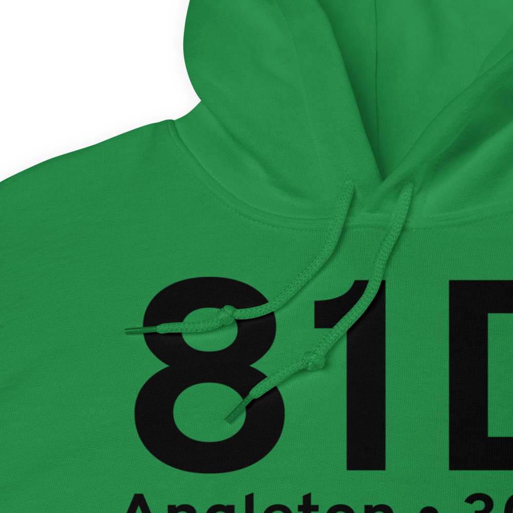 Angleton (81D) Airport Hoodie Sweatshirt 