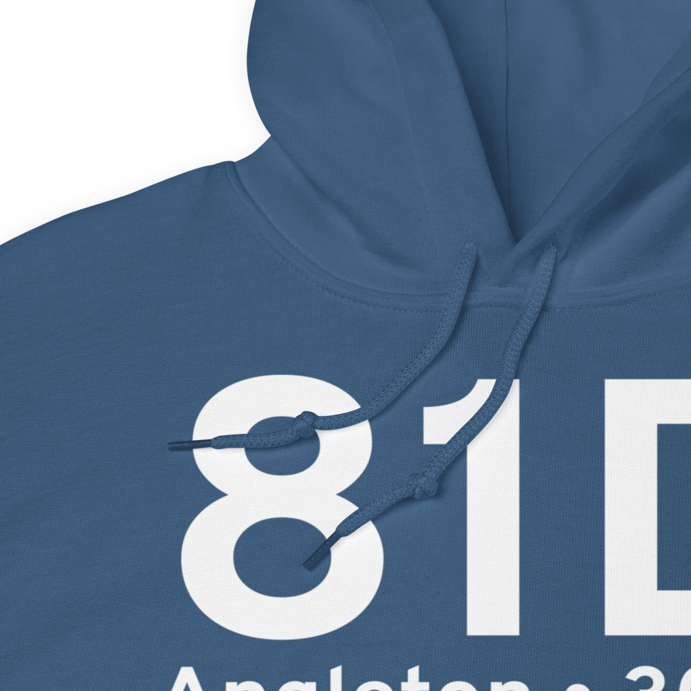 Angleton (81D) Airport Hoodie Sweatshirt 