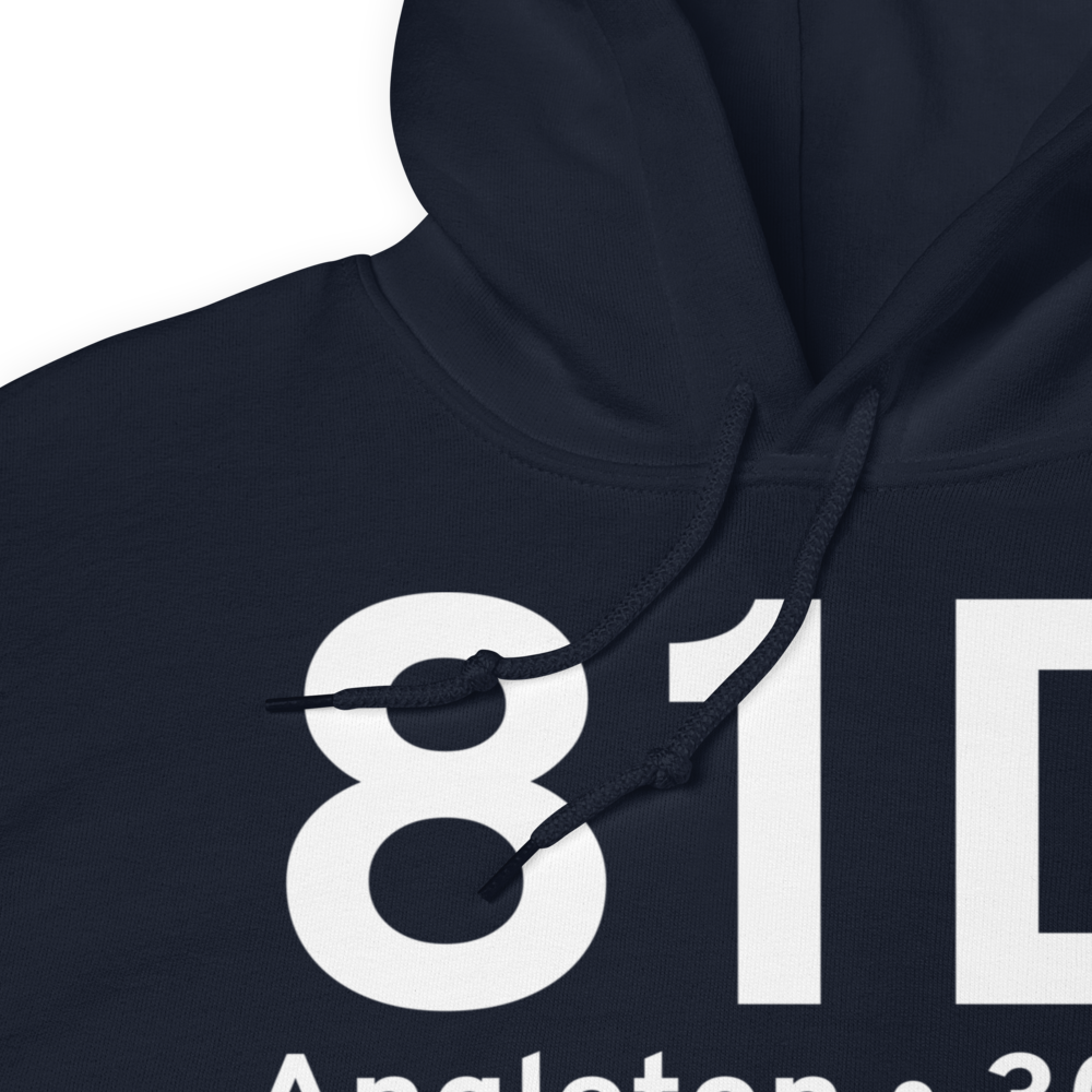 Angleton (81D) Airport Hoodie Sweatshirt 