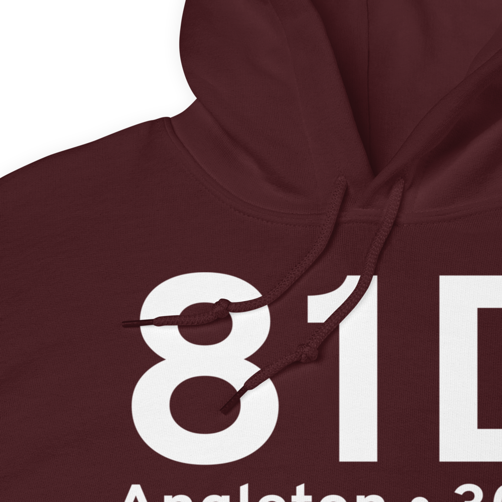 Angleton (81D) Airport Hoodie Sweatshirt 