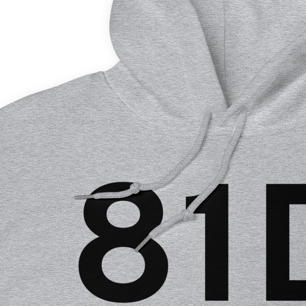Angleton (81D) Airport Hoodie Sweatshirt 