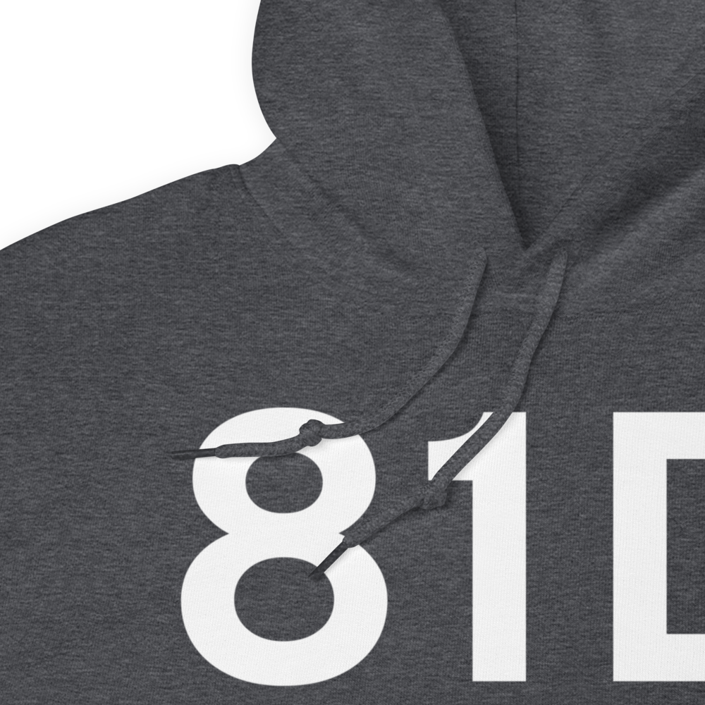 Angleton (81D) Airport Hoodie Sweatshirt 