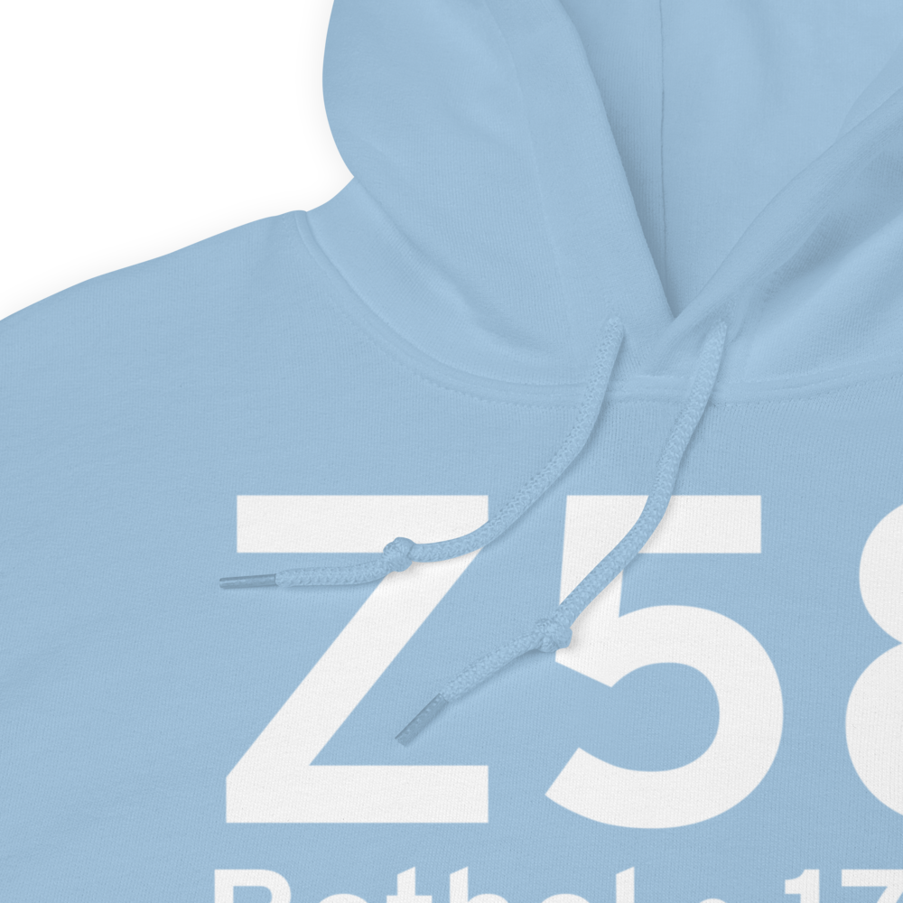 Bethel (Z58) Airport Hoodie Sweatshirt 