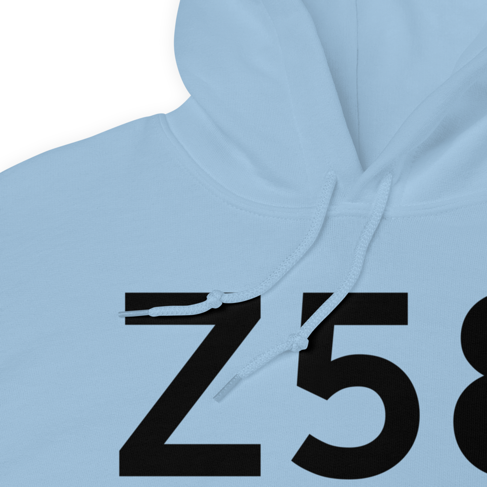 Bethel (Z58) Airport Hoodie Sweatshirt 