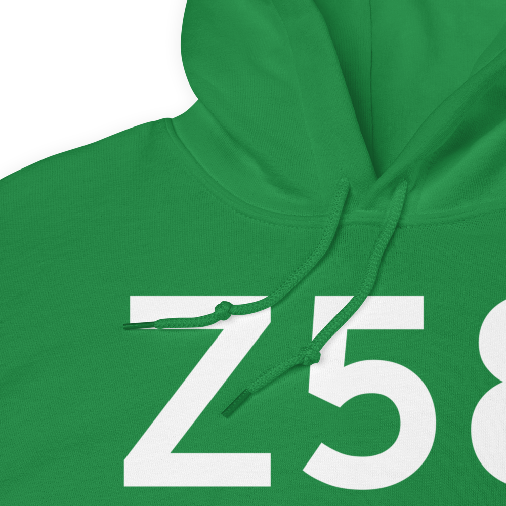 Bethel (Z58) Airport Hoodie Sweatshirt 