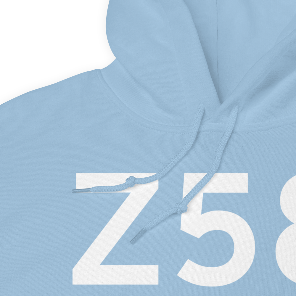 Bethel (Z58) Airport Hoodie Sweatshirt 