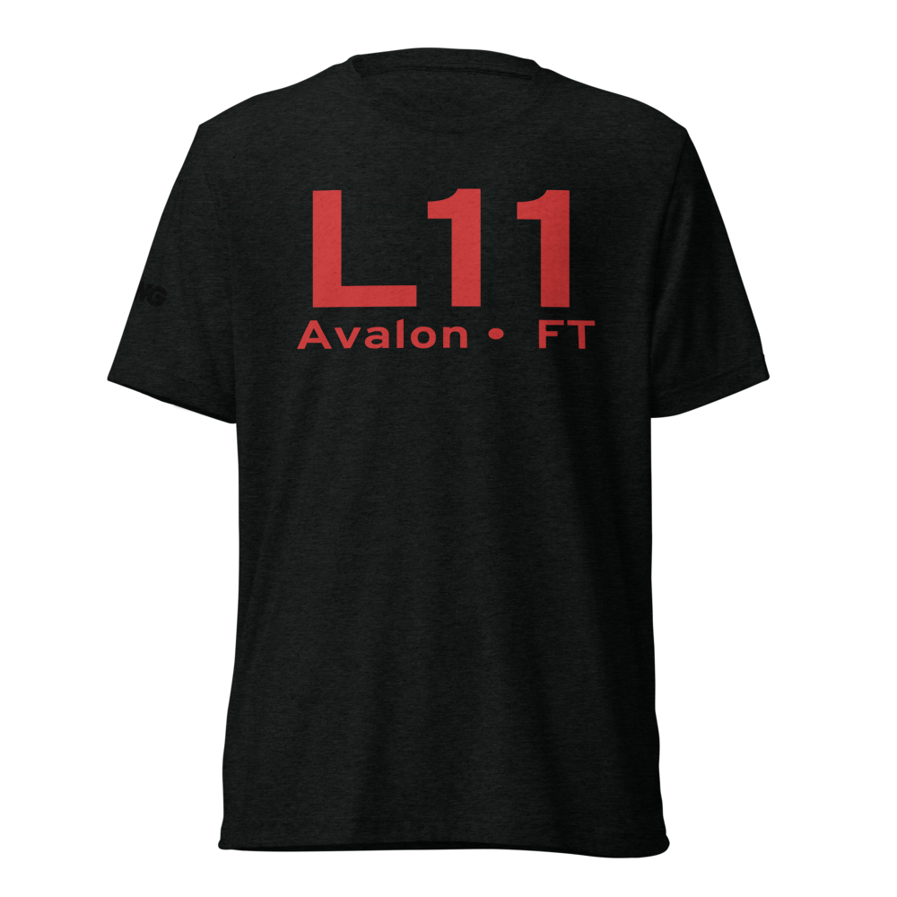Avalon (L11) Airport Tri-blend T-Shirt 