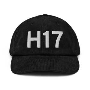 Buffalo (KH17) Airport Hat