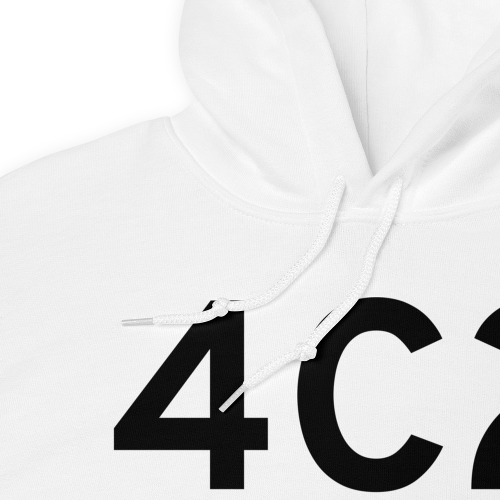 Waterloo (4C2) Airport Hoodie Sweatshirt 