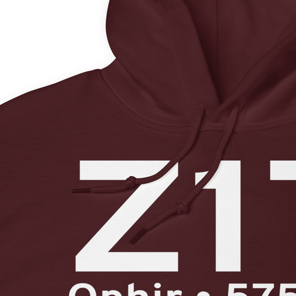 Ophir (Z17) Airport Hoodie Sweatshirt 