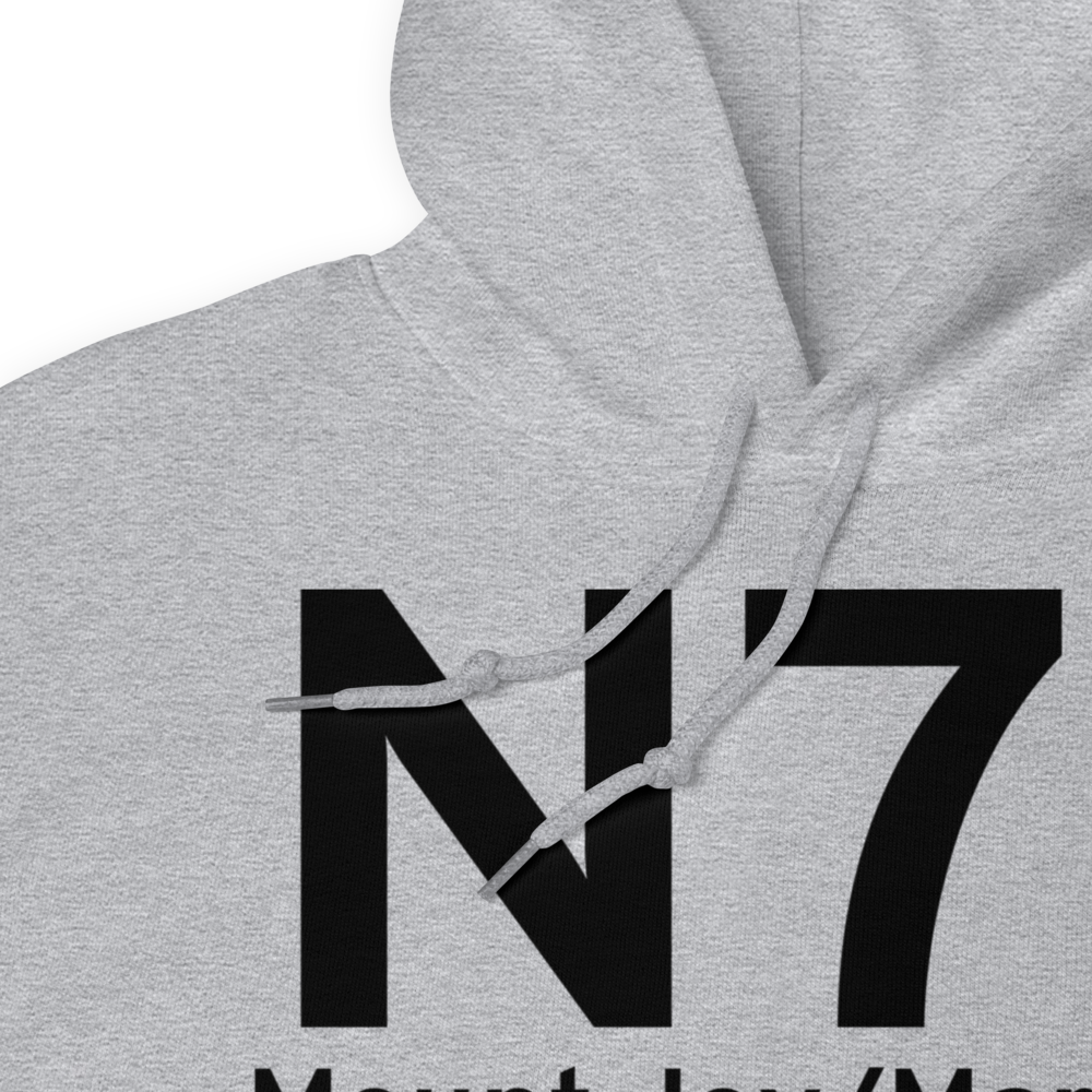 Mount Joy/Marietta (KN71) Airport Hoodie Sweatshirt 