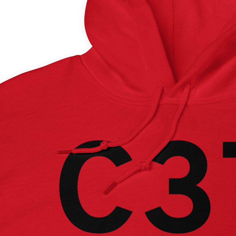 Brodhead (C37) Airport Hoodie Sweatshirt 