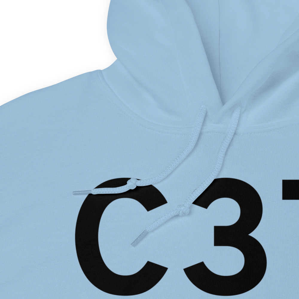 Brodhead (C37) Airport Hoodie Sweatshirt 