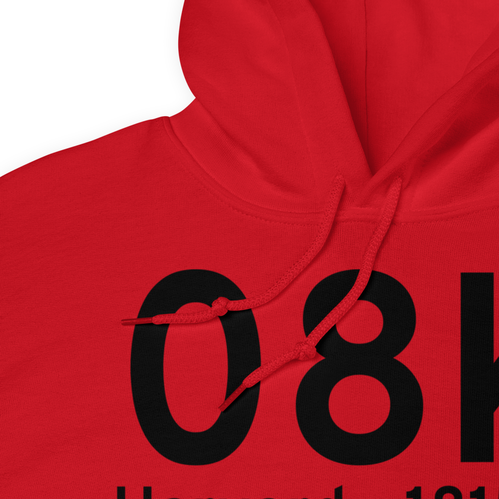 Harvard (K08K) Airport Hoodie Sweatshirt 