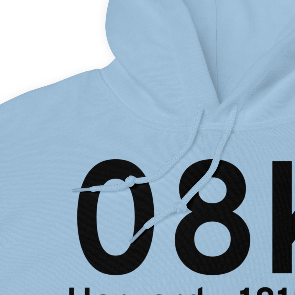Harvard (K08K) Airport Hoodie Sweatshirt 