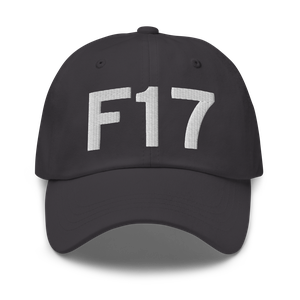 Center (KF17) Airport Hat