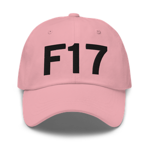 Center (KF17) Airport Hat
